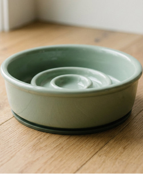 Zavn Meadowpath Ceramic Slow Feeder Pet Bowl Sage 24 oz - Lifestyle view
