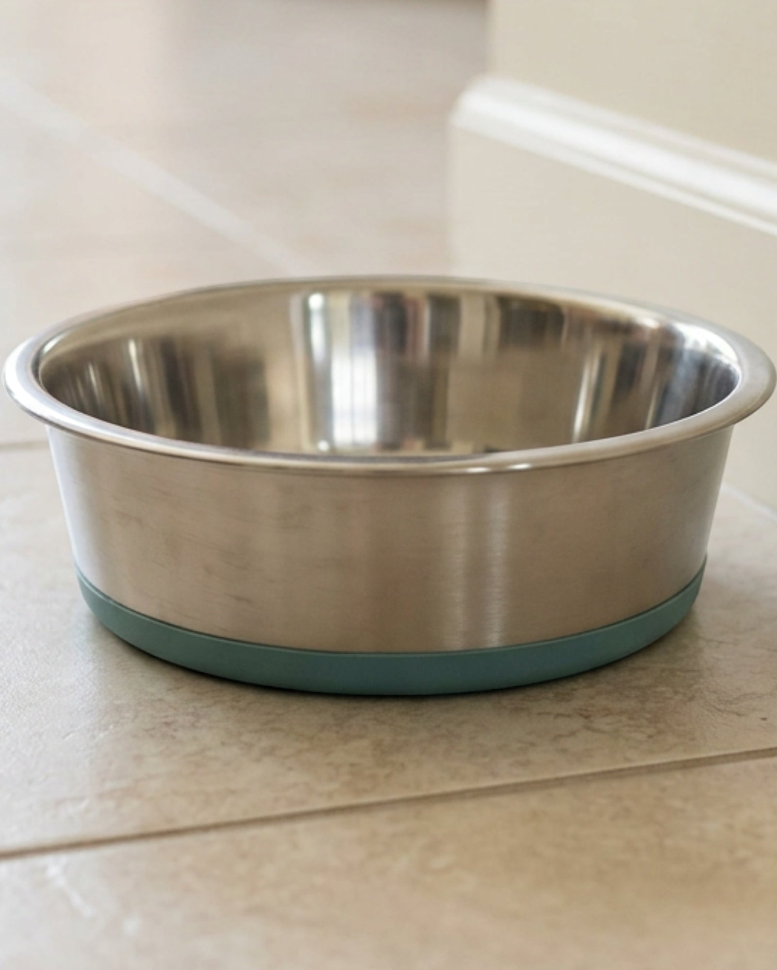 Zavn Shoreline Stainless Steel Pet Bowl with Silicone Base Teal 40 oz - Lifestyle view