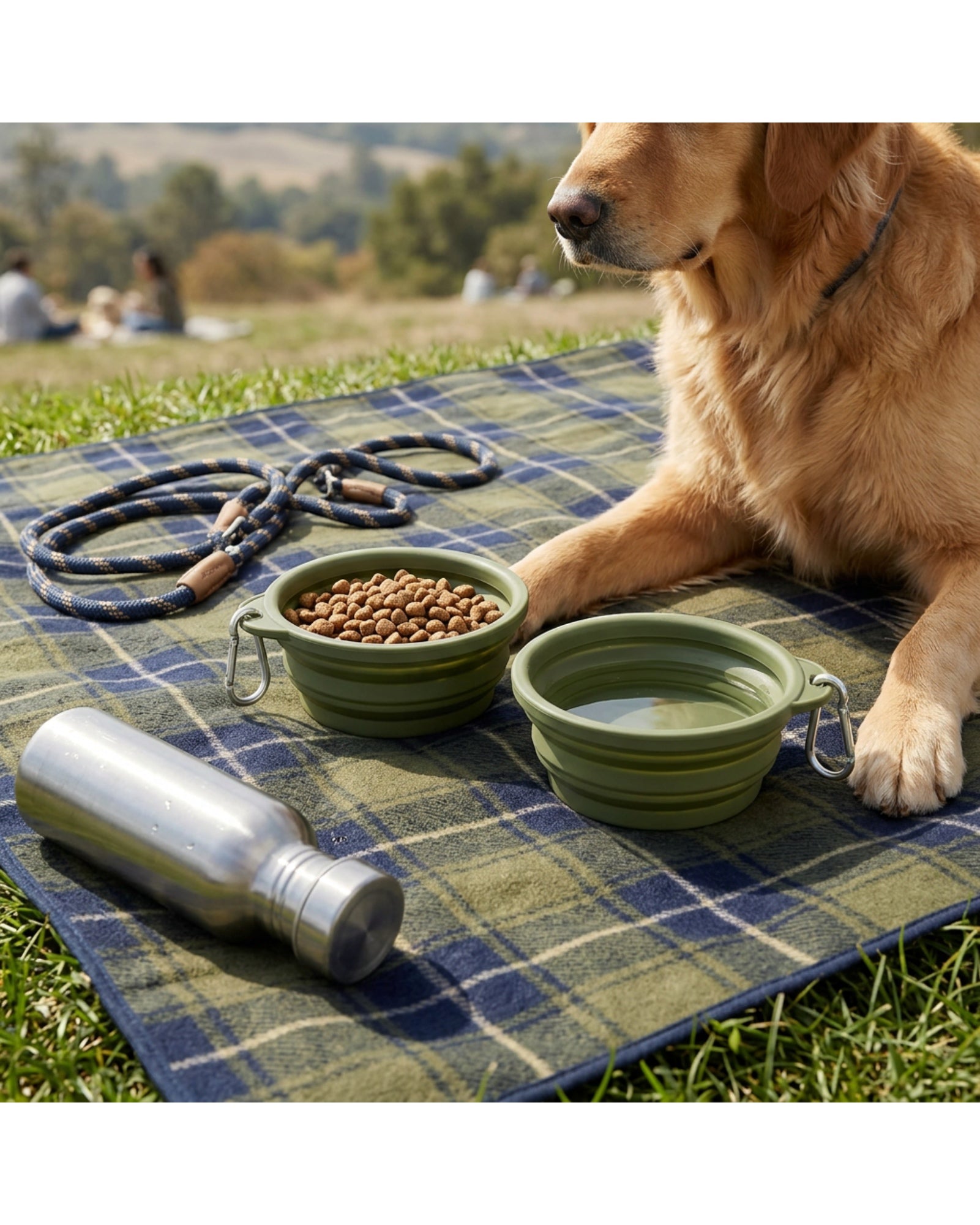 Zavn Travel Pet Bowl Olive Collapsible 20 oz 2 Pack
